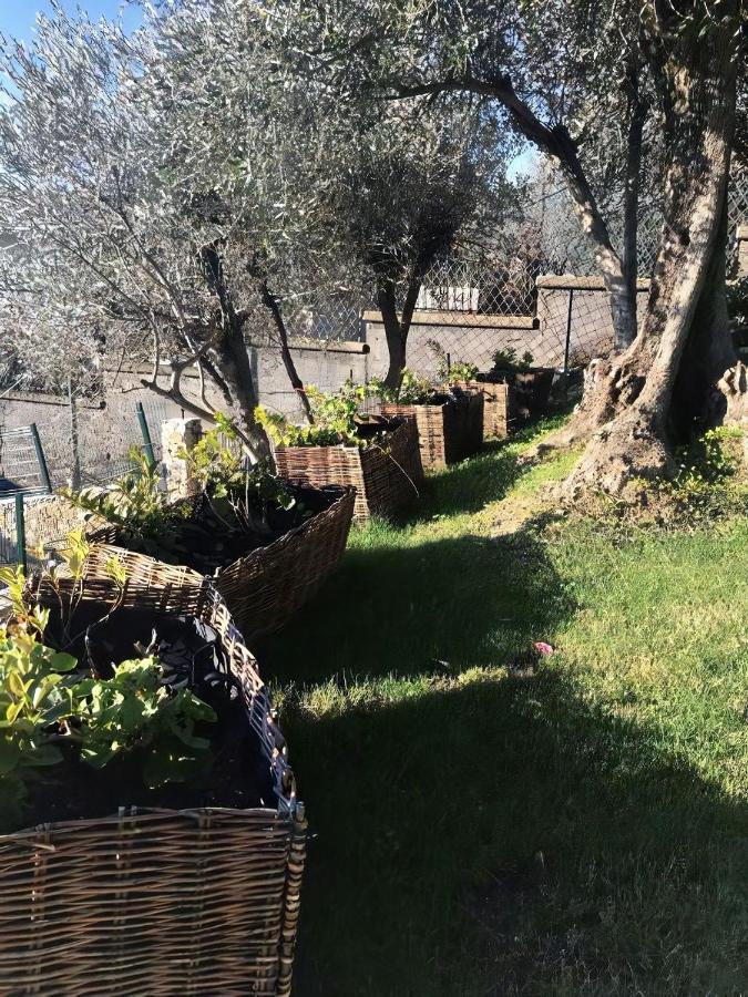Agriturismo Le Pale 2 Swimming Pool And Parking Bogliasco Exteriör bild